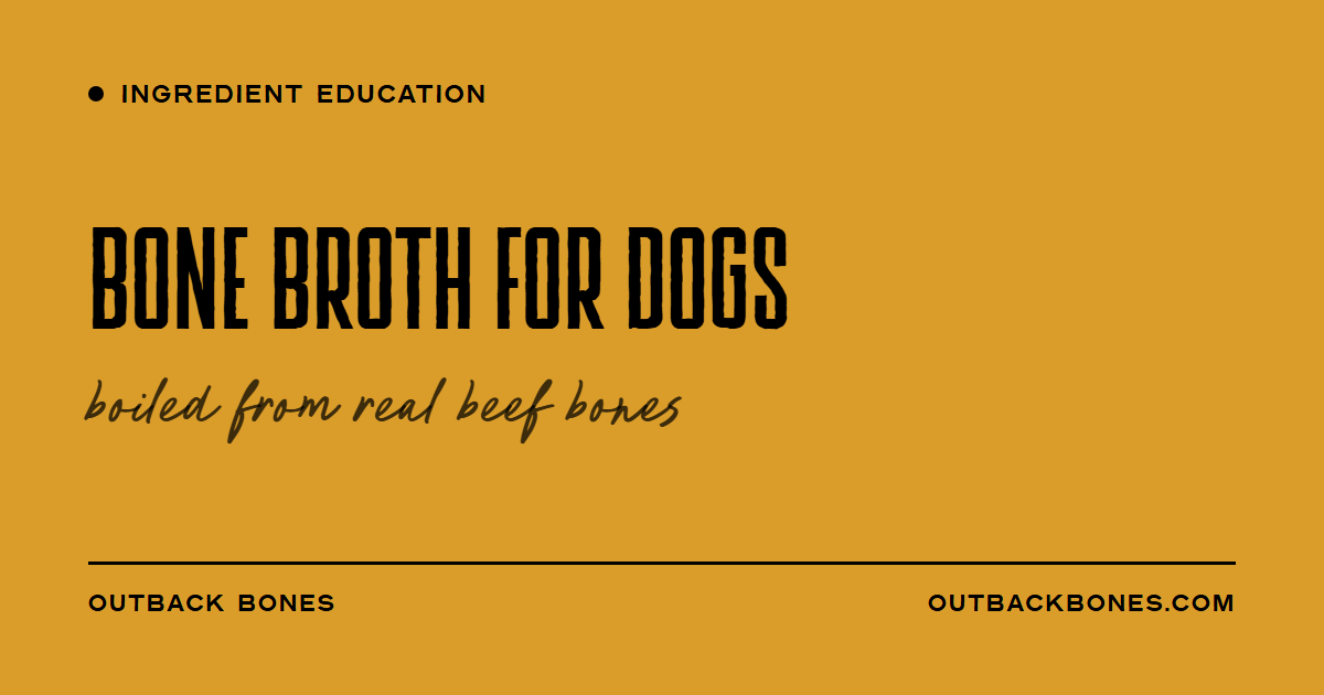 Bone Broth for Dogs