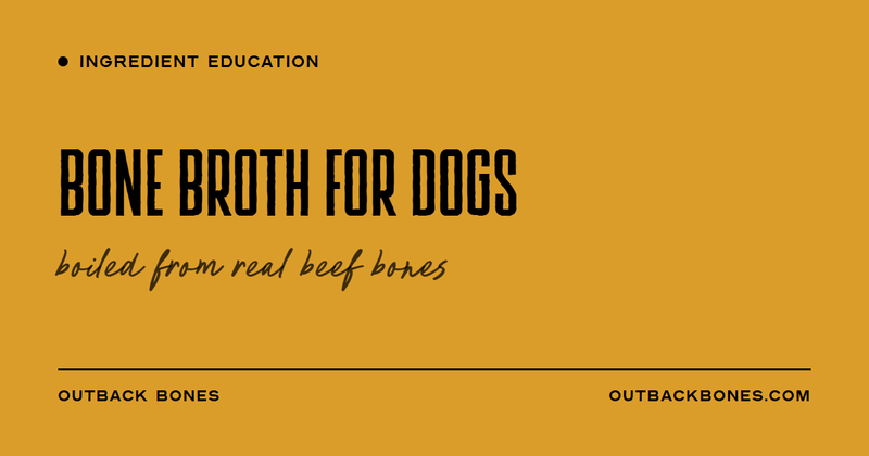 Bone Broth for Dogs