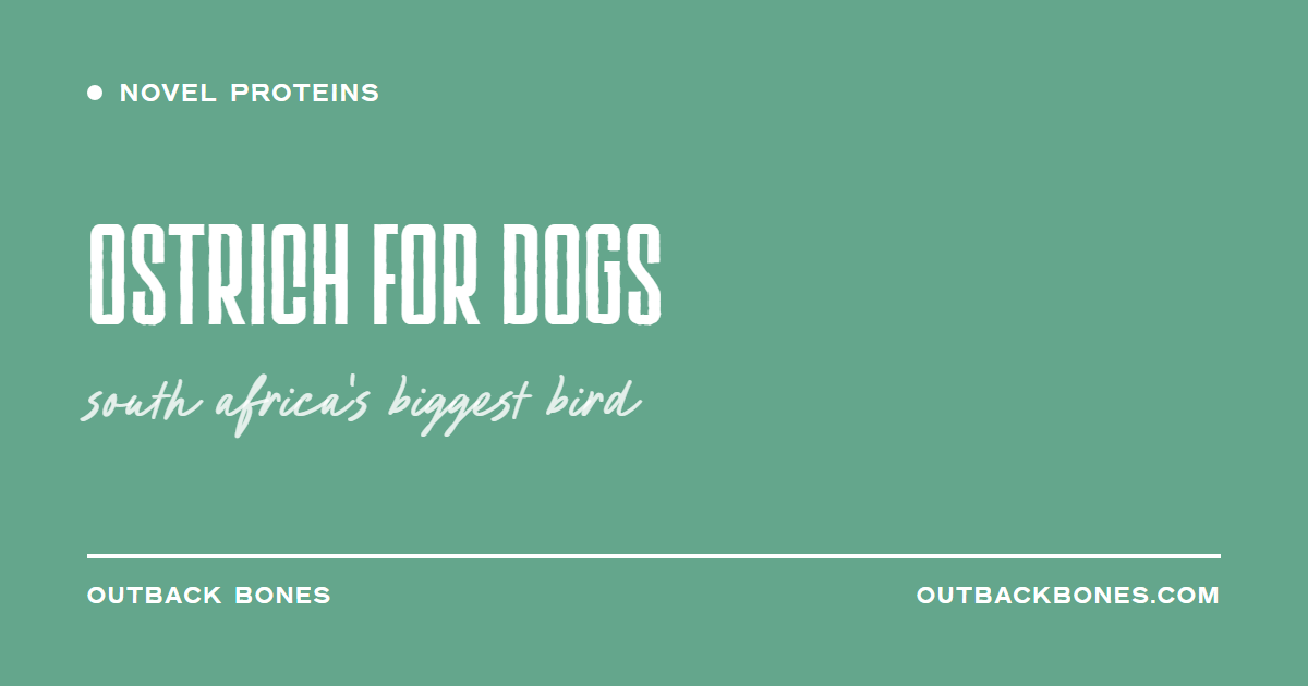 Ostrich for Dogs