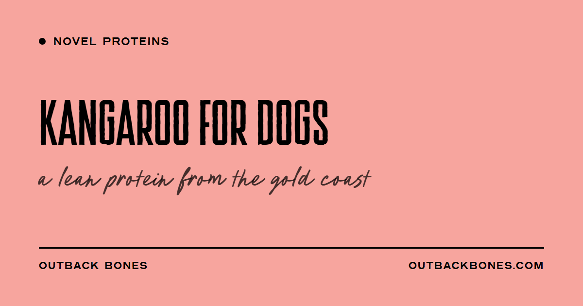Kangaroo for Dogs