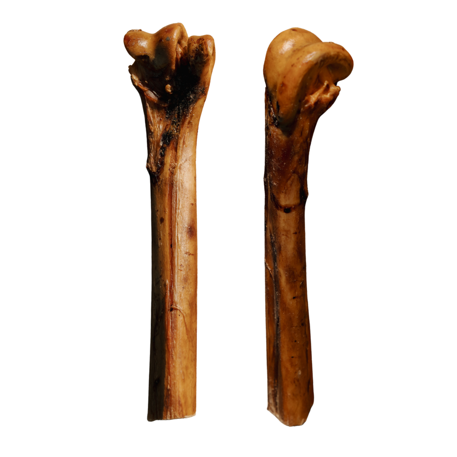 Ostrich Cane Bone