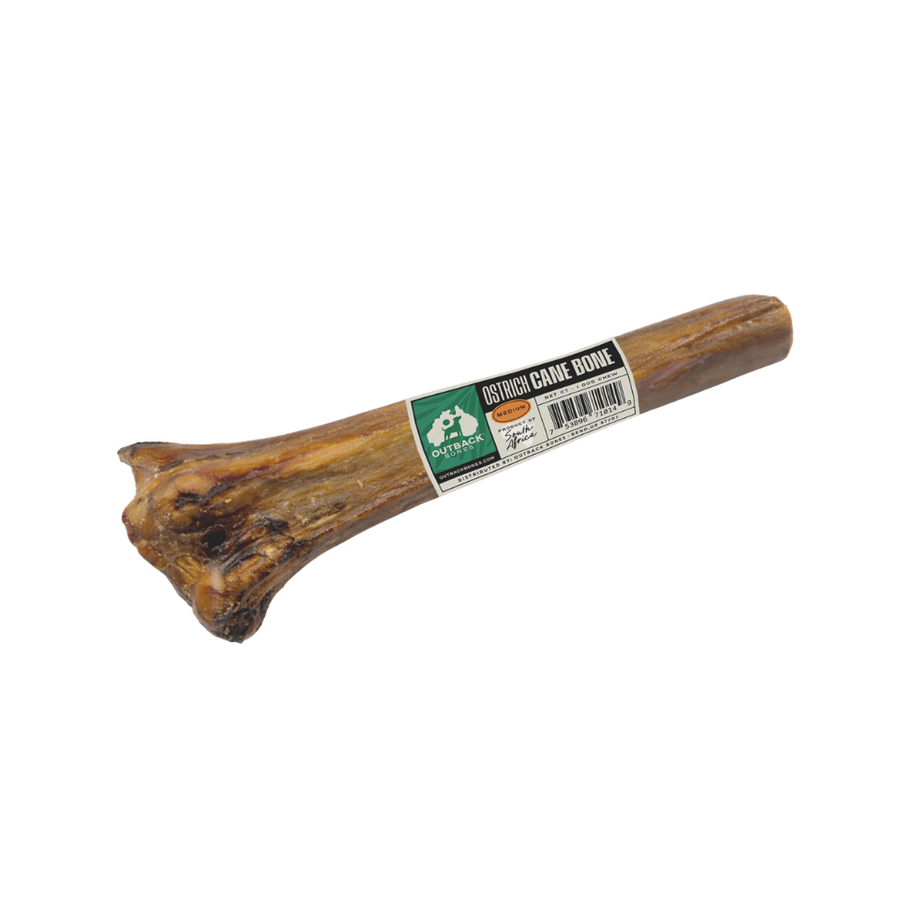 Ostrich Cane Bone
