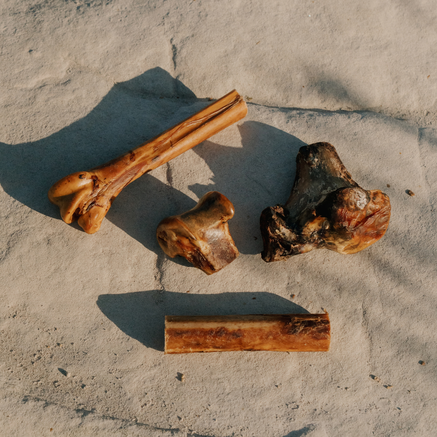Ostrich Marrow Bone