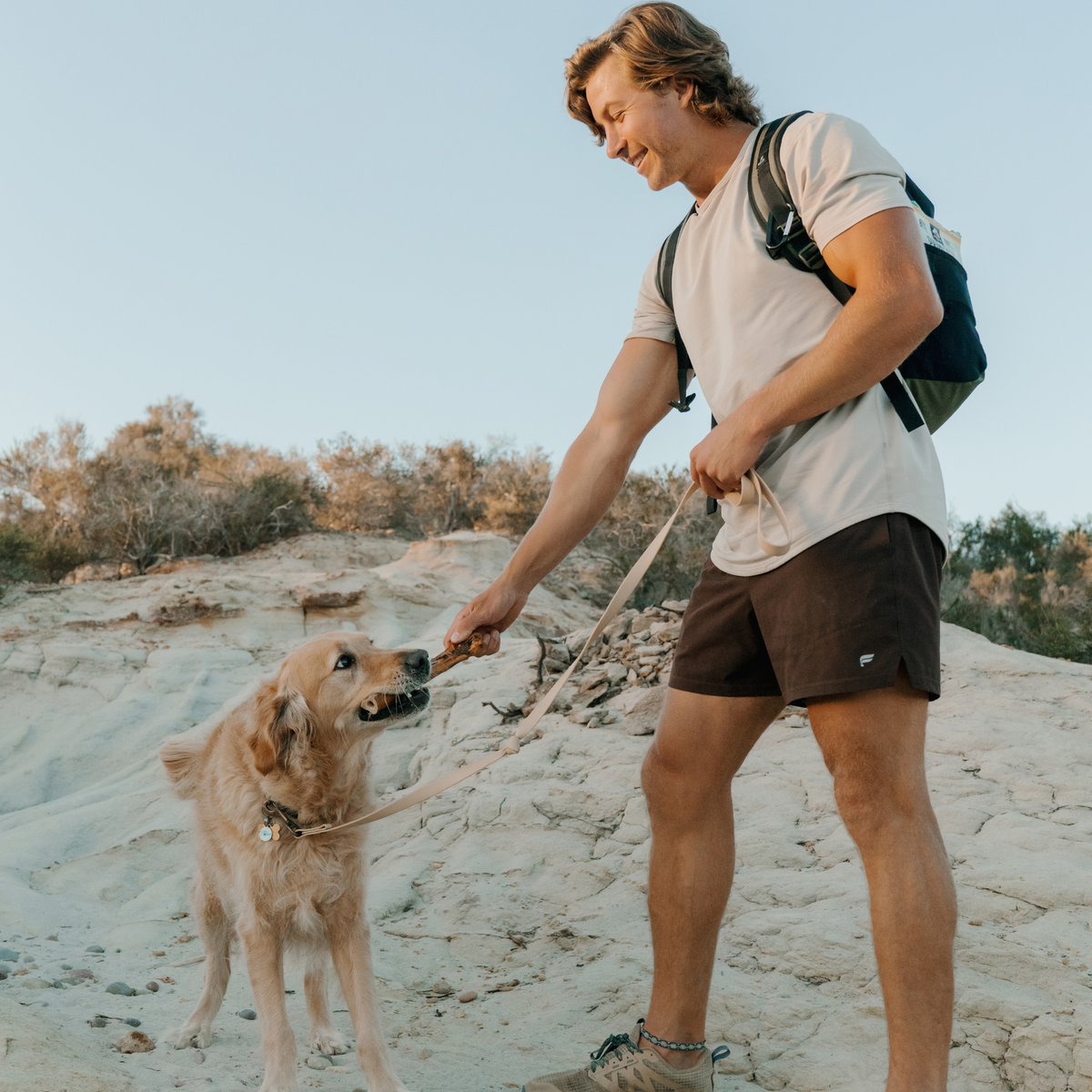 Golden retriever resting on sand beside a large Outback Bones collagen chew