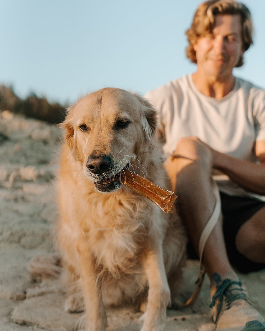 Outback Bone Broth Collagen Chew - in use with a dog