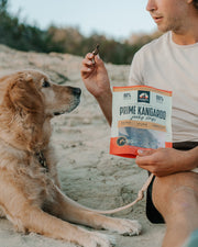 Prime Kangaroo Jerky Strips - in use with a dog