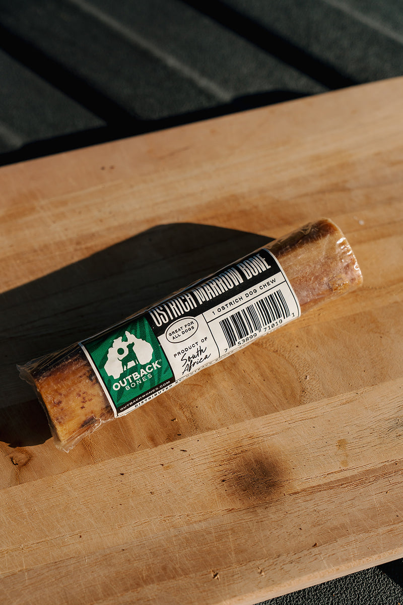 Ostrich Marrow Bone