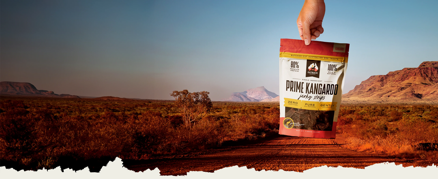 outbackbones-home-header.webp