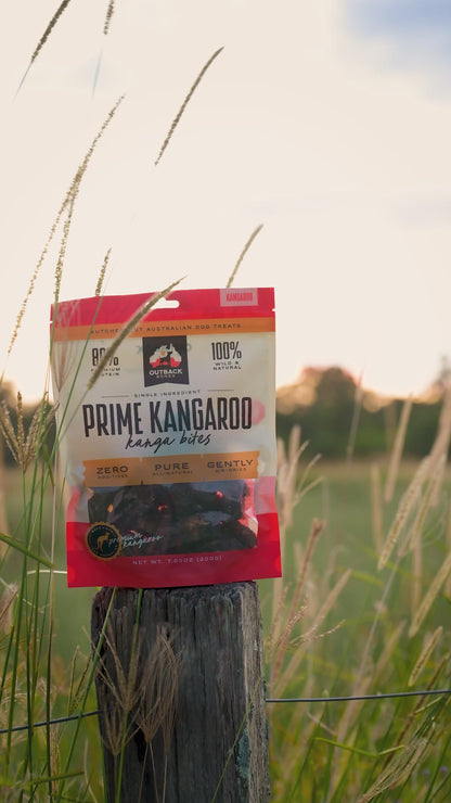 Prime Kangaroo Kanga Bites
