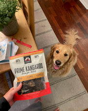 Prime Kangaroo Kanga Bites - in use with a dog