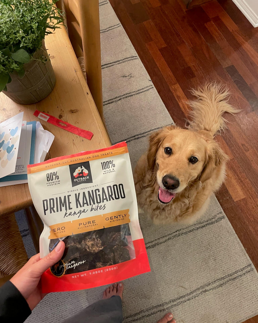 Prime Kangaroo Kanga Bites - in use with a dog